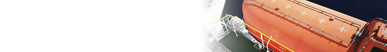 Energy Lifeboat Banner