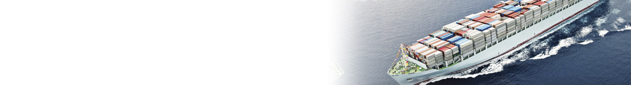 Suritec Headstart Banner Whitepaper