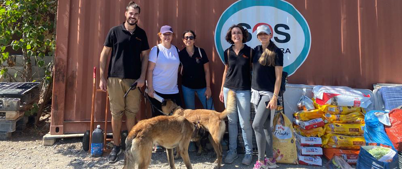 Survitec Algiras Dog Shelter