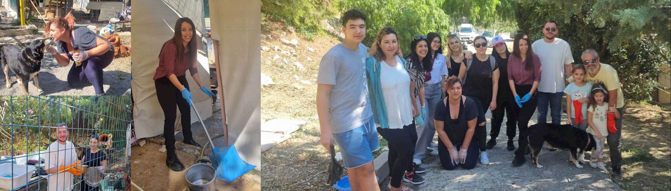 Survitec Greece Helping Save The Tails Shelter