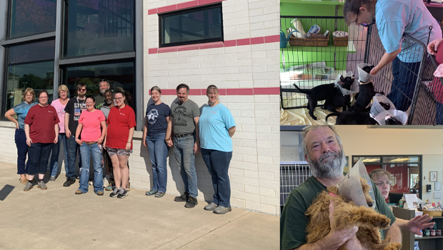 Survitec Sharon Center One Of A Kind Pet Rescue Cleaning Kennels And Dog Training