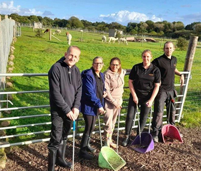 Survitec Birkenhead Nanny Sharons Alpaca Farm